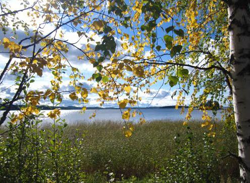lac forestier Karelia