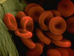norma hemoglobinei în sângele femeilor